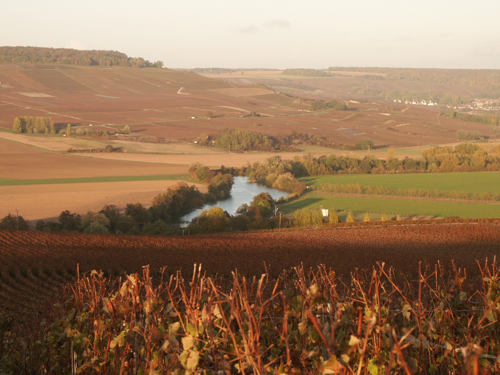 Photo of a row of books in a library.